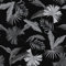 VEELIKE Papier Peint Jungle Noir et Blanc Papier Peint Feuillage Tropical Papier Peint Adhesif Fleur Vintage Papier Adhesif pour Meuble Rouleau Adhesif Decoratif Salon Chambre Cuisine 44,5cm×300cm