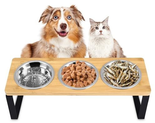 3pcs Cat Bowl with 15° Tilted Stand, Raised Cat Feeding Bowls Stainless Steels for Food and Water, Bamboo Elevated Feeder Bowls for Cats and Puppy, Anti Slip Tilted Feeding Station