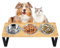 3pcs Cat Bowl with 15° Tilted Stand, Raised Cat Feeding Bowls Stainless Steels for Food and Water, Bamboo Elevated Feeder Bowls for Cats and Puppy, Anti Slip Tilted Feeding Station