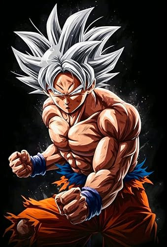 Frikiverso Dekoschild Son Goku Ultra Instinkt Metall Bild HD Poster