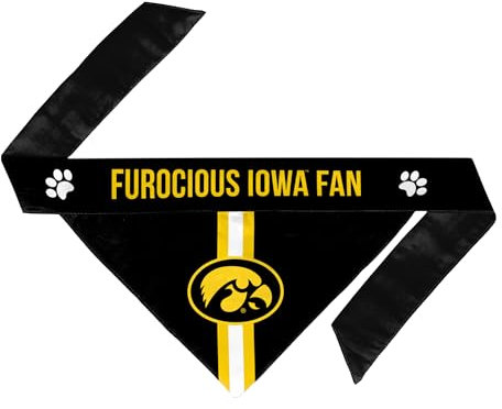 Littlearth NCAA Iowa Hawkeyes 120601-UIWA-S Halstuch, klein, Team-Farbe