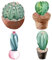 Gorgecraft 4 stili 6.3 pollici Desert Cactus Decalcomanie Della Finestra Pianta Statica Autoadesivo Della Porta Scorrevole di Vetro Si Aggrappa Impermeabile Pellicola In Vinile Primavera Camera Da