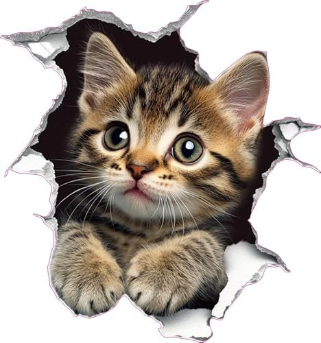 x4 Savannah Brown Cat Vinyl Stickers Cover Marks Non Transparent Waterproof Kitten Decals 1@20cm Tall & 3@7cm Tall Ideal for Toilet, Car Phone case, Cups & More