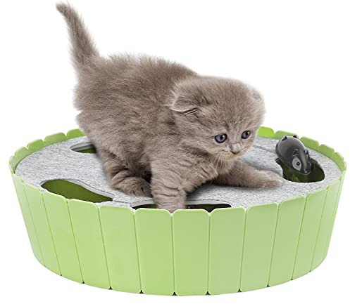 Pawaboo Jouet interactif avec Souris en Mouvement, Jouet électronique pour Chat, taquineur Automatique, Joue à Cache-Cache pour Chat, Souris chasseuse, Menthe Verte