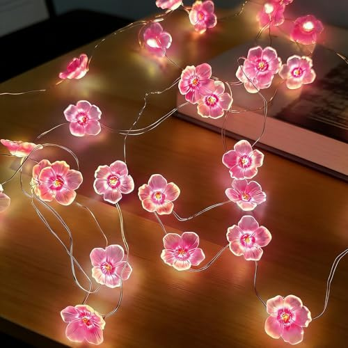 LED Lichterkette Kirschblüten,Lichterkette Blumen | 2M 20 LED Lichterkette Kirschblüten innen Batterie,für Frühlingsdeko,Hochzeit,Kirschblütens deko,Garten
