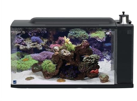FIRST WAVE AQUARIUM SET 48L Meerwasseraquarium