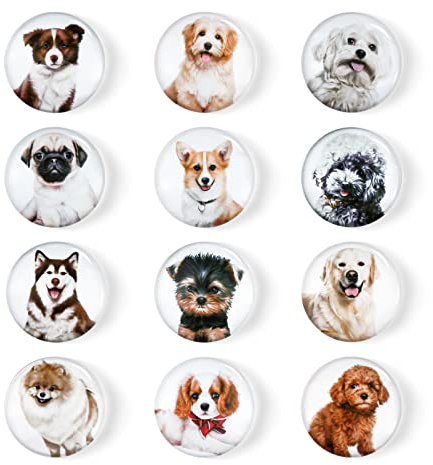 FuninCrea 12 Pack Butterfly Fridge Magnets 3D Glass Notice Board Office Magnets Set Vintage Butterfly Small Fridge Magnets Decorative Refrigerator Magnets for Home Office Whiteboard (Puppies)