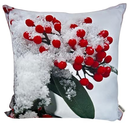 CB Home & Style Outdoor Garten Kissen Wasserabweisend 45 x 45 cm Weihnachten Winter (Weihnachten Beeren)