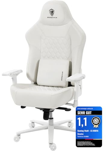 Dowinx Silla de oficina para videojuegos, capacidad de carga de 200 kg, silla ejecutiva ergonómica con reposabrazos 4D y soporte lumbar, altura ajustable para gamer esports, color blanco