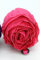 JOKA International Einkaufstasche im 2er Set als Verwandlungsrose versch. Farben 13352 (pink)