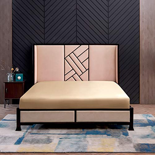 THXSILK Seide Spannbettlaken Spannbetttücher Seide Bettlaken 100% Maulbeerseide 19 Momme mit Rundumgummi (200x220+30cm, Champagner)