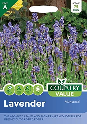 Lavender Seeds Munstead by Country Value Aromatic Flowers & Leaves