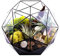 Terrario De Cristal Geométrico, Forma De Cuenco, Maceta De Cristal, Balcón, Ventana, Planta Suculenta, Cactus, Helecho, Maceta, Contenedor, Mesa, Centro De Mesa En Miniatura, Decoración De Paisaje