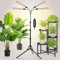 JINHONGTO 36W LED Pflanzenlampe Vollspektrum, Pflanzenlampe mit 4/8/12H Timer, 4-Kopf Pflanzenlicht mit Verstellbarem Stativ-Ständer, Wachstumslampe für Saatgut, Setzlinge und Pflanzenwachstum