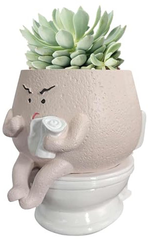 Lindas macetas | Macetas suculentas originales | Adornos creativos de plantas verdes | Divertidas macetas para suculentas, extravagantes soportes para plantas de interior con maceteros decorativos par