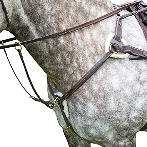 Shires Salisbury 5 Point Breastplate-Australian Nut/Brass Pony