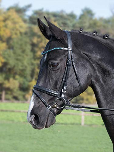 Busse