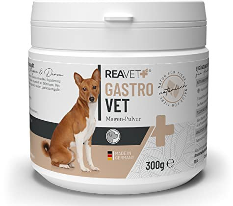 ReaVET GastroVET für Hunde 300g - Verdauungshilfe, Darmgesundheit fördern, Darmflora, Darmsanierung, Magen-Darm, Darmkur - Regulierung der Verdauung