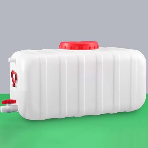 ZHJLF Portatile Tanica Acqua con Rubinetto Plastica Serbatoio Acqua Camper Escursionismo Picnic Viaggi All'aperto Contenitore per Acqua(Size:30L/8gallon)