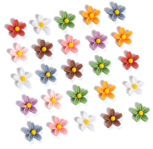 COYUN 100 Stück Blumen Miniatur Resin,Mini Dekorierte Blümchen,3D Bunte Blume Deko, für Miniaturgärten, Kunsthandwerk, Nagelkunst-Dekorationen