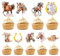 Eiapadeor Horse Birthday Party Decorations for Girls, 36PCS Horse Cupcake Toppers Decor Supplies, Western Cowgirl Baby Shower Party Decor