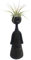 PLAT FIRM GERMINATIONSAMEN: Denker Keramik Vase mit Wohn Luft-Pflanze - Schwarz - 2 x 2 x 7 Live-Trends