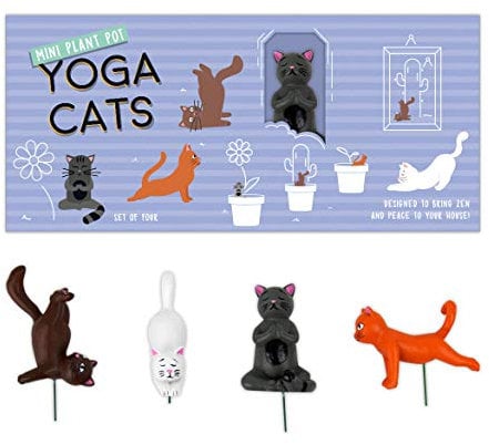 Gift Republic Mini Pot de Fleurs pour Chats de Yoga, Multicolore, 1