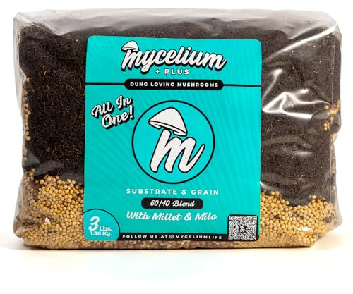 Mycelium Substrat de champignons et mélange de grains de mil/milo de qualité supérieure pour champignons – Formule tout-en-un de qualité supérieure à base de coco, vermiculite et gypse avec mélange