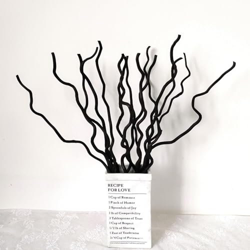 DongArts 58 cm Getrocknete Weidenzweige, 15 Stämme Getrocknete Zweige Holzstöcke, Natürliche getrocknete Pflanzen Dekorative Zweige für Weihnachten Rustikale Heimdeko (Schwarz)