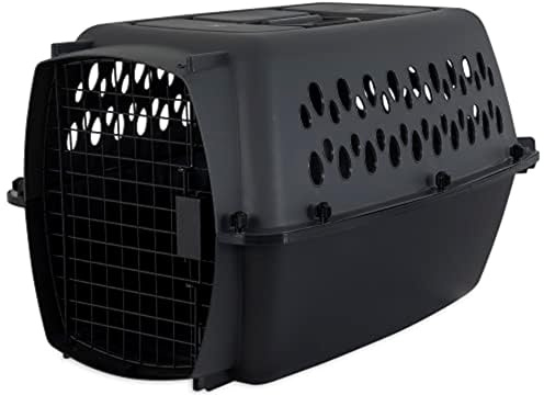 Petmate Aspenpet Pet Porter 21085, Traditional Kennel, for Pets 15-20 Pounds, Light grau