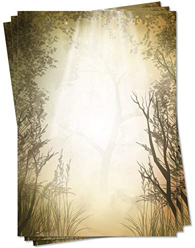 Motiv Briefpapier (Natur-5119, DIN A4, 100 Blatt) Wald Sonne Sonnenstrahlen Lichtung Motivpapier