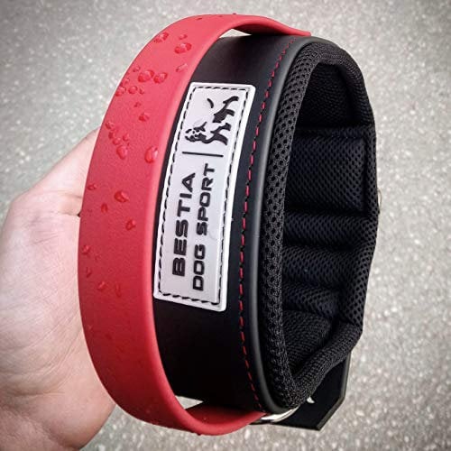 Bestia Dog Sport Halsband MIT Griff