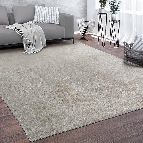 Paco Home Teppich Wohnzimmer Kurzflor Waschbar Weich rutschfest Modern Einfarbiges Muster Silber, Grösse:60x100 cm