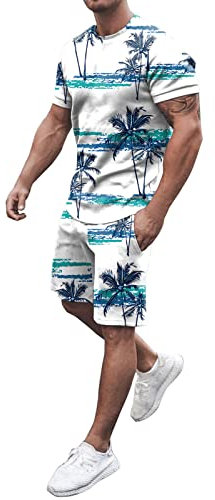 Herren Trainingsanzug Set Sommer Sportanzug 2 Teiliges Outfit Hawaii Drucken Sport Set Kurzarm T-Shirt + Kurze Hose Sets Freizeitanzug Männer Rundhals Oberteile Shorts Jogginganzug
