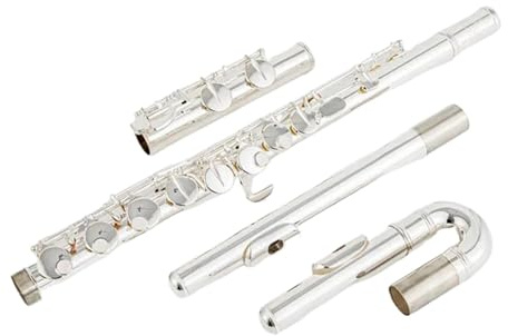 Professionelle Anfänger-Altflöte Für Erwachsene G-Stimmung 16 Geschlossene Klappen Versilbert Professionelles Musikinstrument