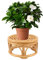 Mrisata Geflochtener Rattan-Pflanzenständer für Zimmerpflanzen, Mittelgroßer Moderner Pflanzenständer für Zimmerpflanzen, Blumenhocker, Gartendekoration, Boho-Pflanzenständer (S 3,1 x 2,2 Zoll)
