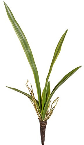 creativ home Künstl. ORCHIDEENLAUB 45 cm. Mit 6 Orchideenblätter und Luftwurzeln.