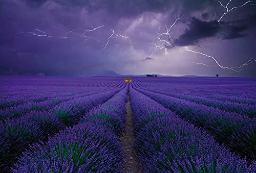 Fototapete Lavendel Feld Natur Landschaft Gewitter Blitze Schlafzimmer | 3,84 m x 2,6 m | Lila, Grün, Braun