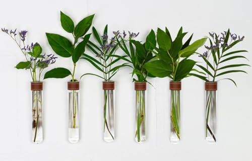 TWILG - Reagenzgläser für Blumen mit cognackfarbenem Leder und Wandmagnet - 6er Set - Blumenvase, Magnet vase, Reagenzgläser mit Ständer, Reagenzglas vase Wand, Magnetische vase