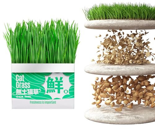 Fioriera per per gatti, 5 sacchetti di semi idroponici per del gatto, coltivatore idroponico senza suolo, kit di contenitori per germogliare, biologica per gatti a crescita rapida