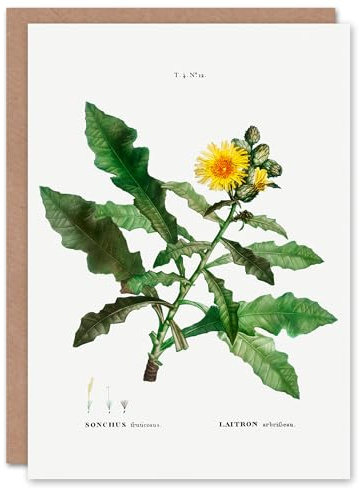 Artery8 Pierre-Joseph Redouté Art Card Sow Thistle Flower Bloom