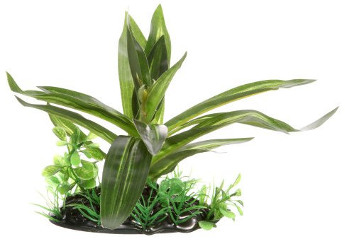 Fluval Riesige Sagittaria-Pflanze