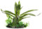 Fluval Riesige Sagittaria-Pflanze