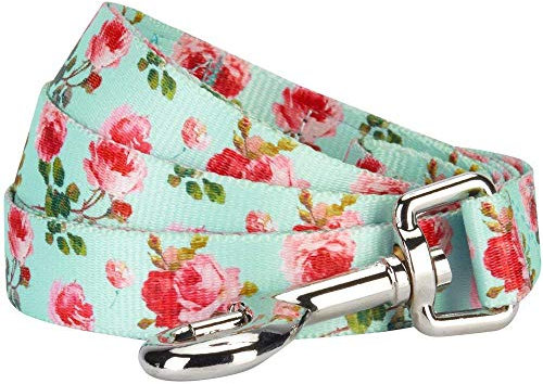 Blueberry Pet New 1,5 cm by 150 cm Frühlingsduft Inspiriertes Geblümtes Rosenmuster Türkis kleine Basic Nylon-Hundeleinen, S Kleine Hundeleine, Passender Hundehalsband erhältlich Separate