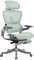 HINOMI H1ProV2 Bürostuhl Ergonomisch, Ergonomischer Bürostuhl mit 3D-Kopfstütze,Bürostuhl mit Fußstütze,Verstellbarer Schreibtischstuhl,Ergonomischer Stuhl für Büro und Studium(Grün,Überhöhe)
