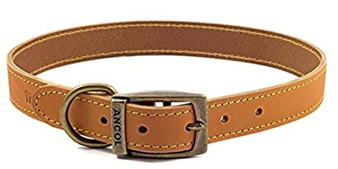 Ancol Timberwolf Premium Leather Dog Collar - Comfortable Durable Pet Training Accessory - Mustard Bridle Leather - Soft Supple Waterproof Treated - 55-63cm Size 8