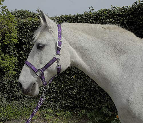 Rhinegold Carnival Headcollar & Rope Karnevals-Halfter und Seil, Violett Check, Kaltblut/Warmblut extragroß