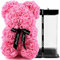 TJC Rose Teddy Bear Flower Bear with Gift Box Birthday Romantic Valentines Gifts for her Girlfriend Love Friends Wife Fiancée PE Material with Bow Tie Everlasting Forever Pink