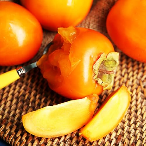 Semillas de árbol de caqui, plantas de interior, semillas de plantas semillas de frutas, plantas para exteriores semillas orgánicas, plantas resistentes al exterior fruta columnar 30pcs