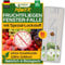 GREEN GUARDIA Fruchtfliegen Fenster-Falle mit Spezial-Lockstoff - 9X Fallen - umweltfreundlich Fruchtfliegen bekämpfen, Chemiefreie Falle mit starker Klebefläche, giftfrei & geruchsneutral